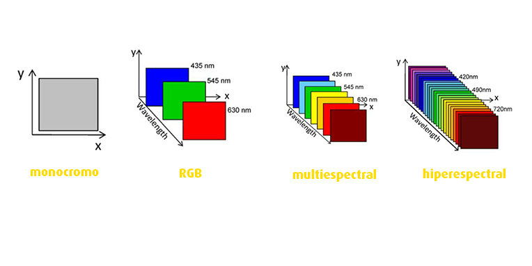 Tipos de imágenes: monocromo, RGB, multiespectrales, hiperespectrales